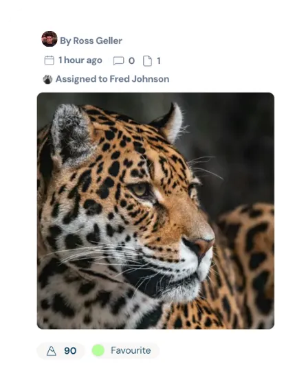 Photography tag